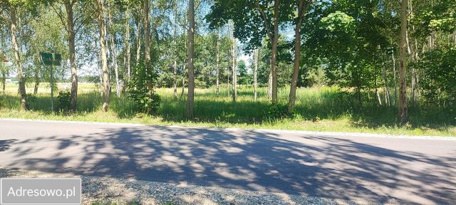 Działka budowlana Gołąbek, ul. Osiedlowa. Zdjęcie 1