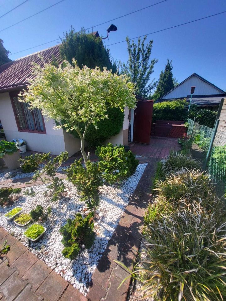 Działka rod Szczecin Pomorzany, ul. Białowieska. Zdjęcie 7