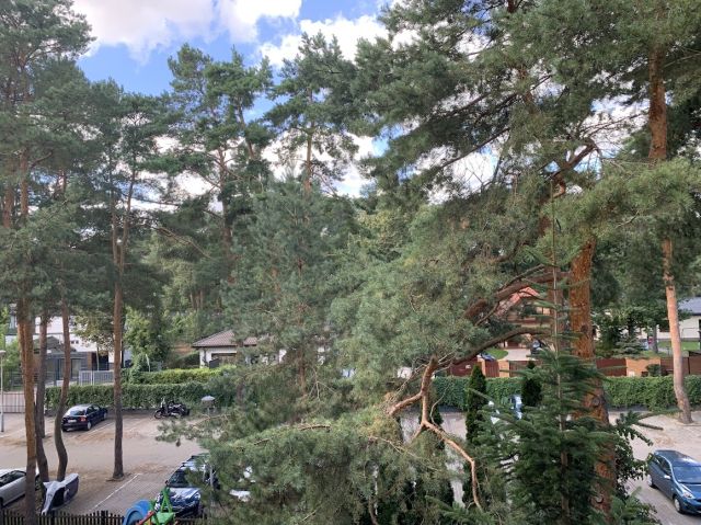 Mieszkanie 3-pokojowe Józefów Michalin, ul. Piaskowa. Zdjęcie 4