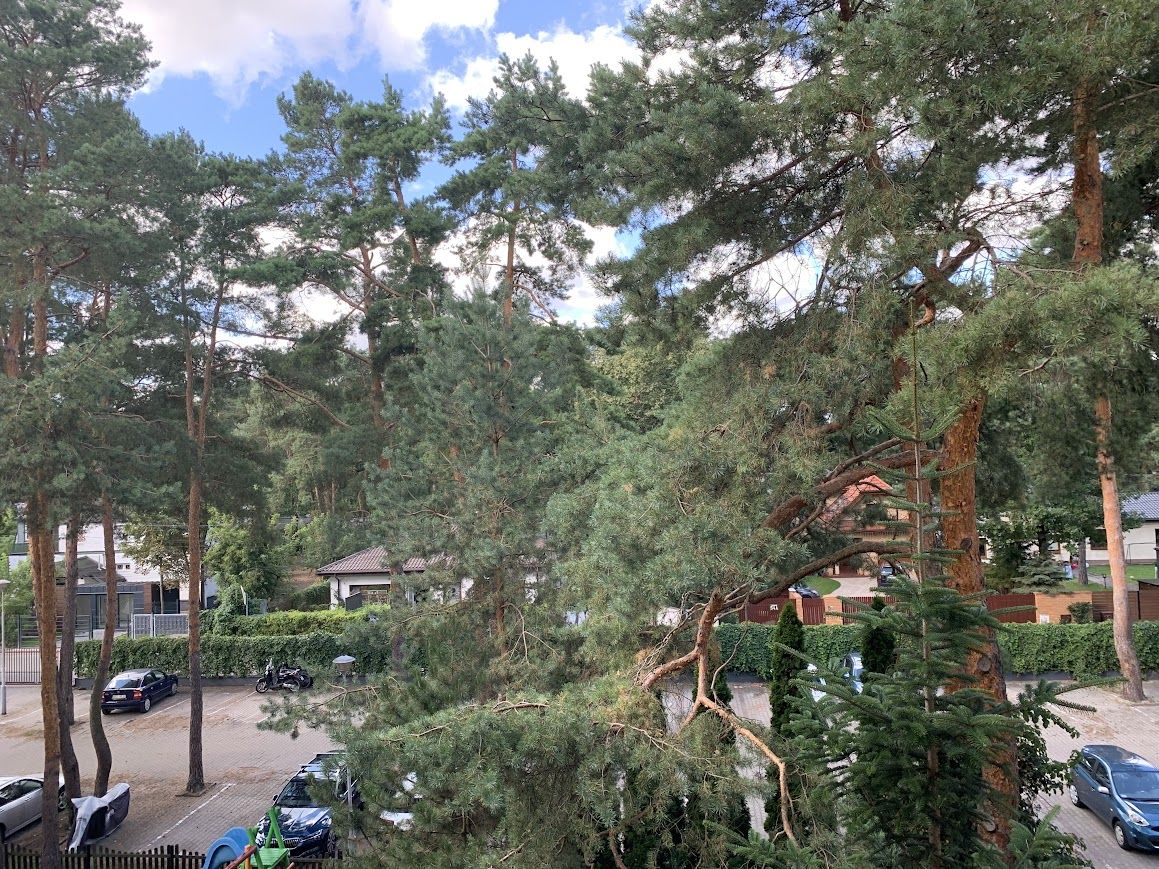 Mieszkanie 3-pokojowe Józefów Michalin, ul. Piaskowa. Zdjęcie 4