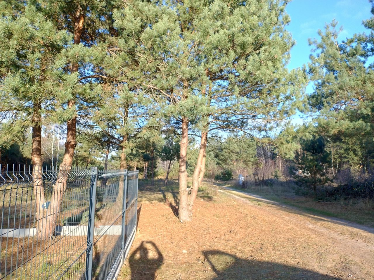 Działka budowlana Stanisławów Stary. Zdjęcie 2