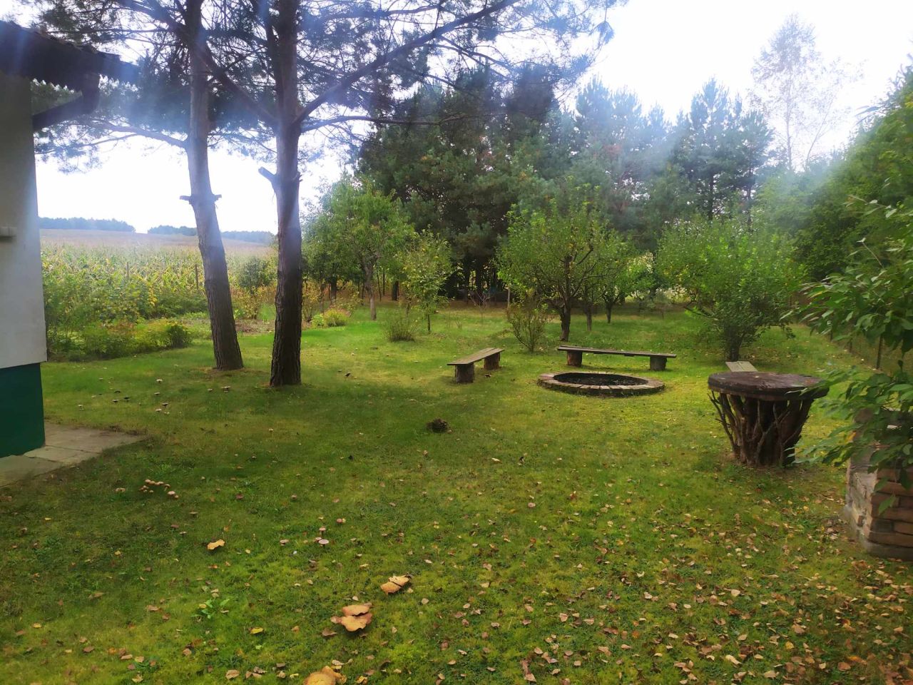 Działka rolno-budowlana Urzędów, ul. Spacerowa. Zdjęcie 4