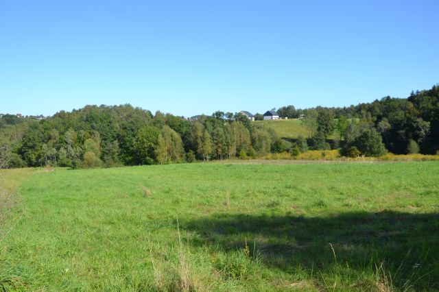 Działka siedliskowa Stanisław Dolny. Zdjęcie 5