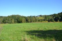 Działka siedliskowa Stanisław Dolny. Zdjęcie 4