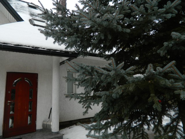 dom wolnostojący, 6 pokoi Grabówka, sosnowa. Zdjęcie 1