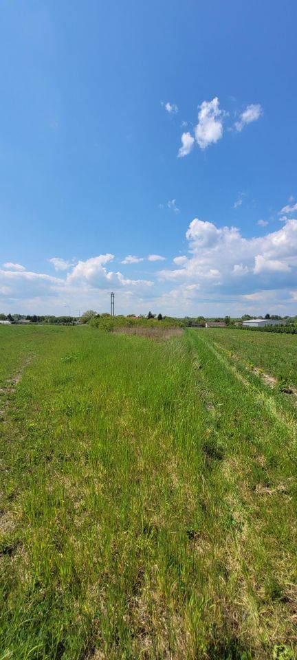 Działka rolno-budowlana Kamień. Zdjęcie 14