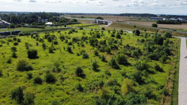 Działka inwestycyjna Iwiny, ul. Franza Petera Schuberta. Zdjęcie 6