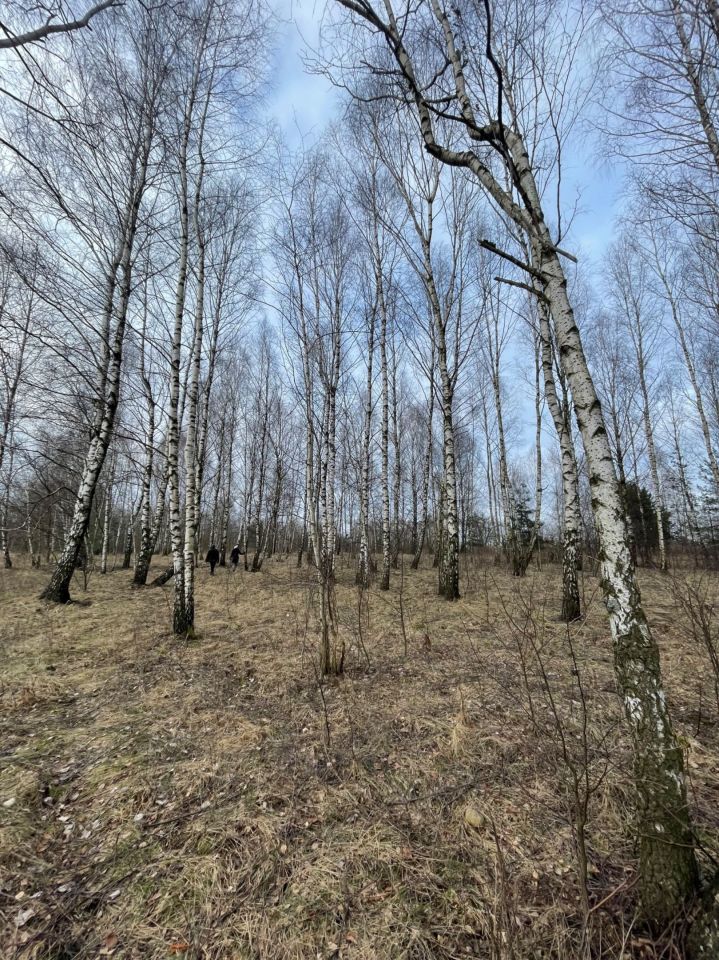 Działka inwestycyjna Łódź Widzew, ul. Jugosłowiańska. Zdjęcie 7