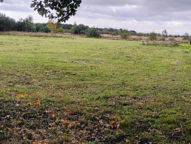 Działka budowlana Połchowo. Zdjęcie 1