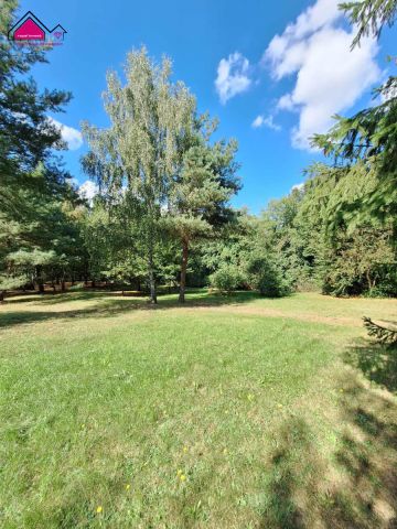 Działka rekreacyjna Wilczyn. Zdjęcie 10