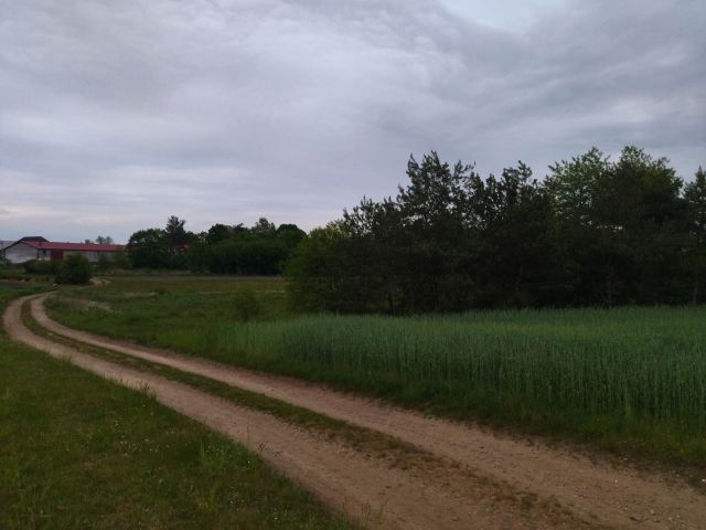 Działka budowlana Świerczyna. Zdjęcie 1