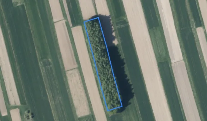 Działka rolna Tarnów Klikowa, bral