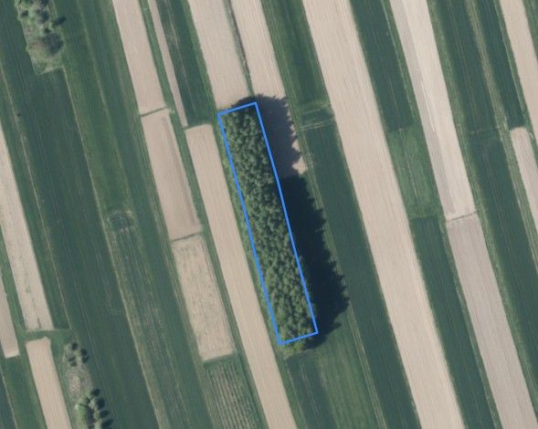 Działka rolna Tarnów Klikowa, bral. Zdjęcie 1