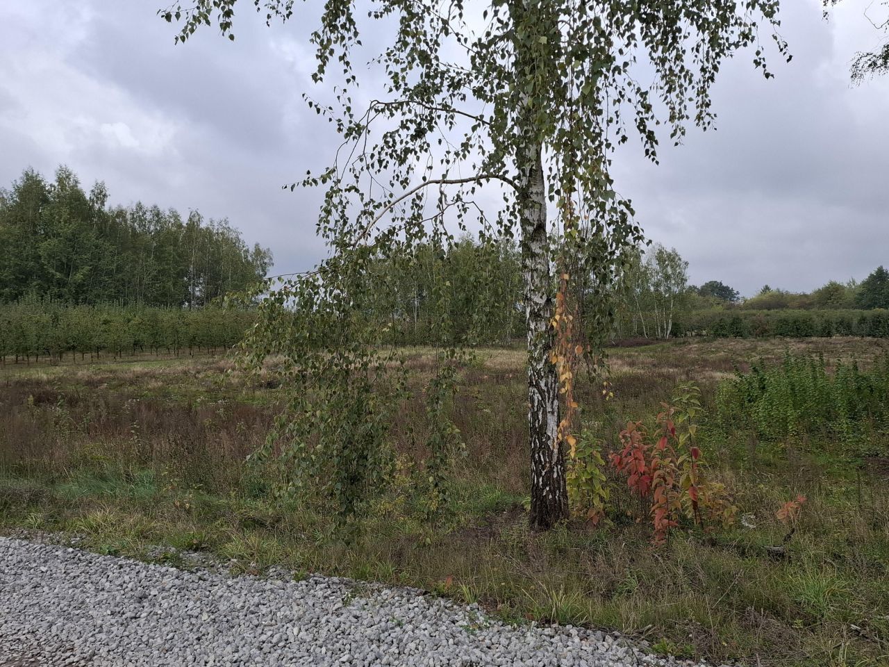 Działka budowlana Wola Grabska. Zdjęcie 7