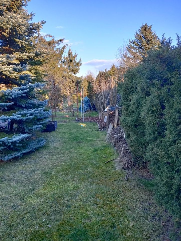 Działka rod Łódź Bałuty, ul. Pustynna. Zdjęcie 7