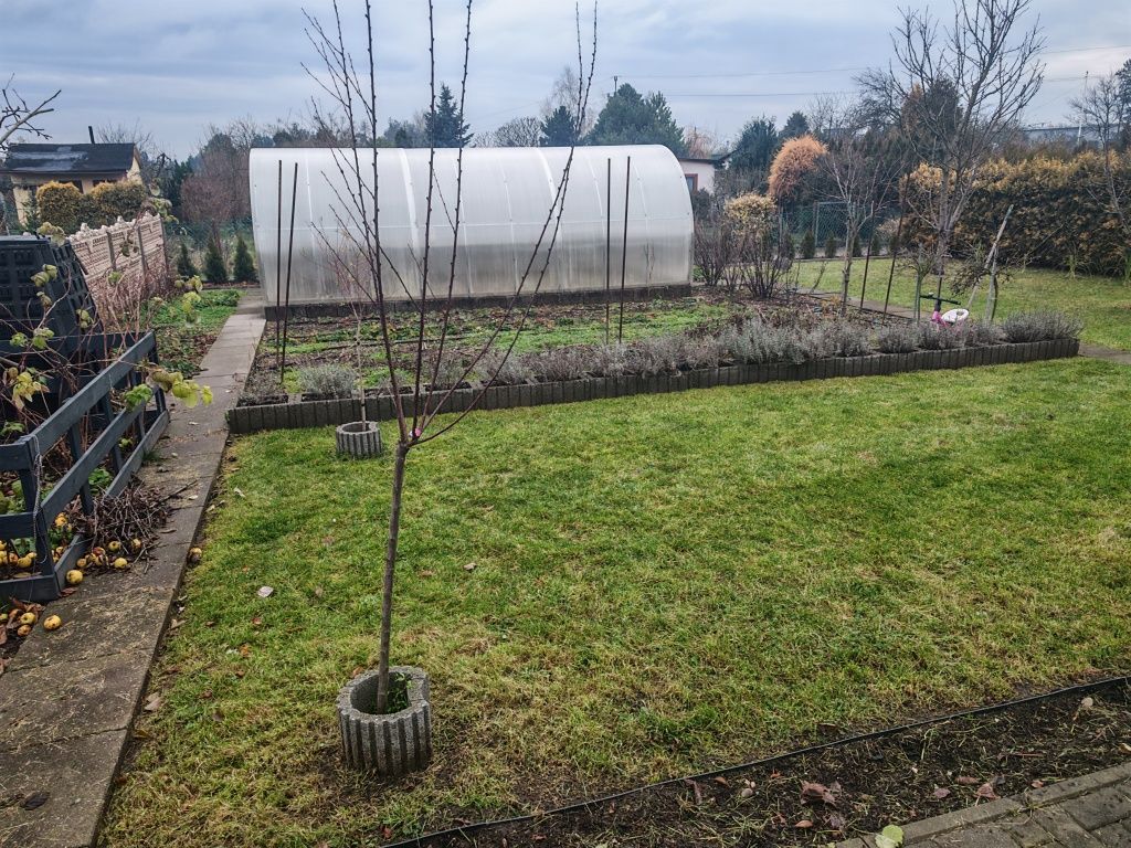 Działka rod Krapkowice. Zdjęcie 7