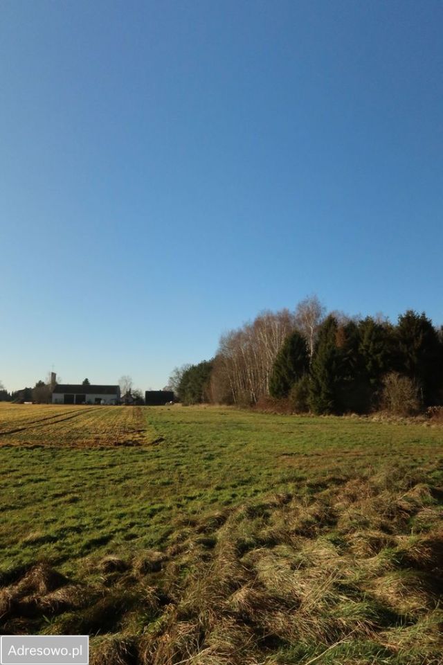 dom wolnostojący, 2 pokoje Chojny. Zdjęcie 15