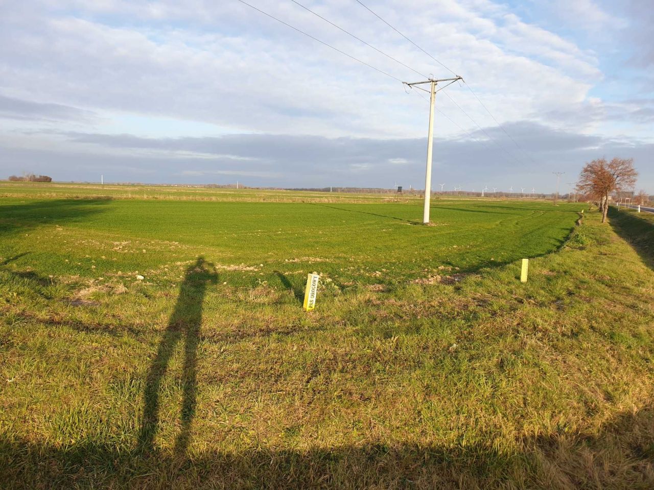 Działka rolna Szprotawa. Zdjęcie 5