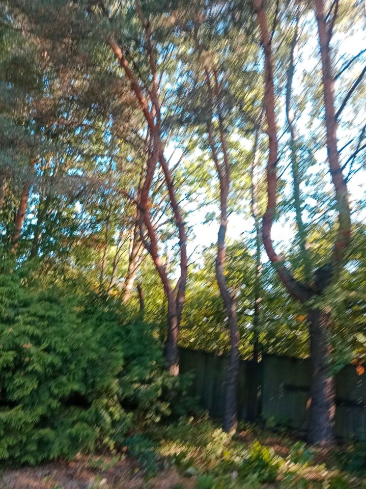 Działka rod Szczaki. Zdjęcie 2