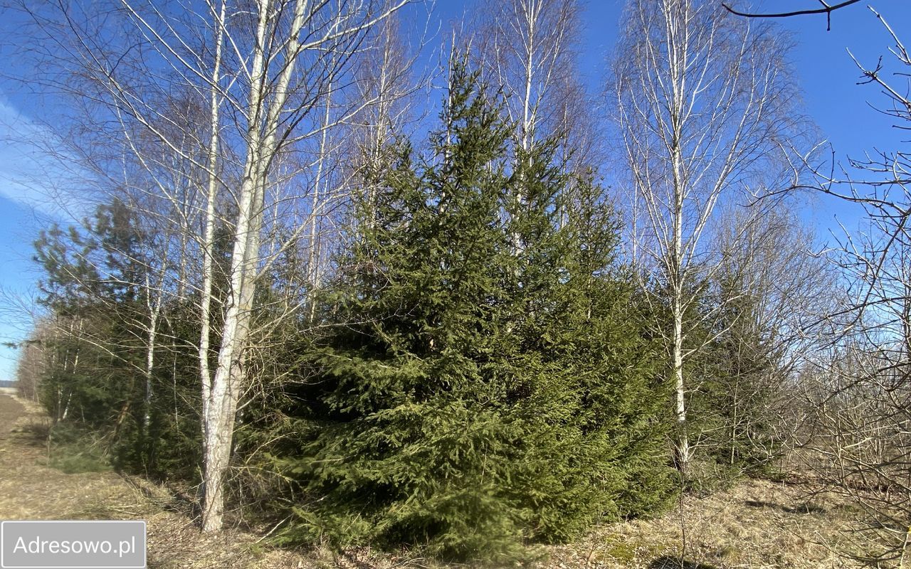 dom wolnostojący, 2 pokoje Czerewki. Zdjęcie 11