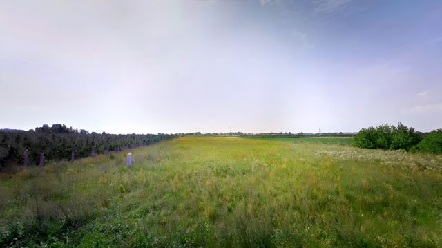 Działka rolna Czołowo. Zdjęcie 1