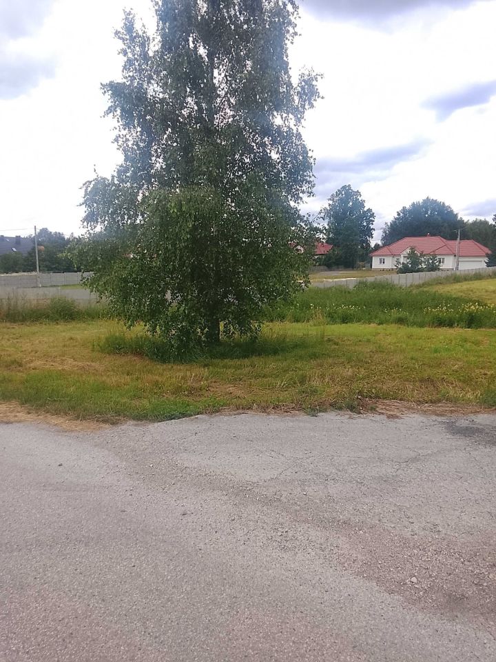Działka budowlana Wincentów Zręby. Zdjęcie 3