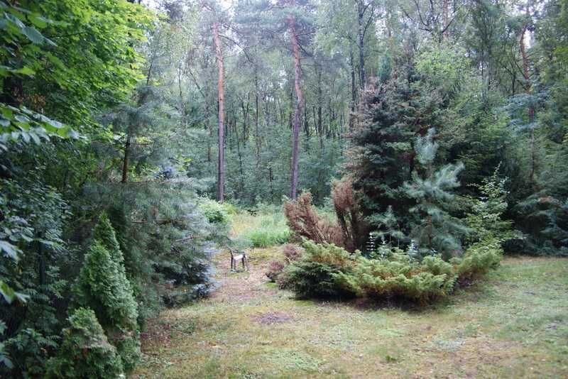 Działka rekreacyjna Rogóźno. Zdjęcie 3