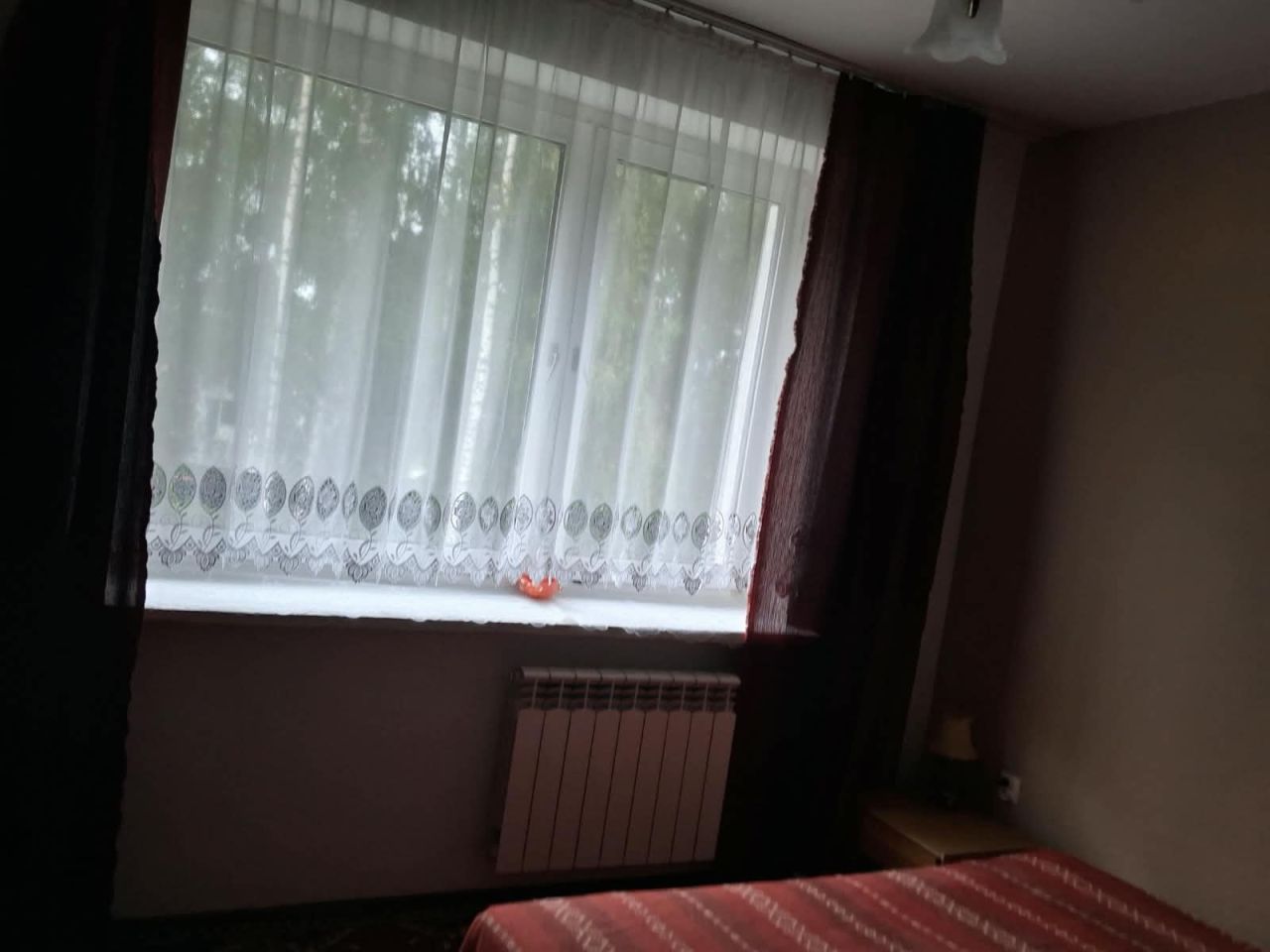 Zdjęcie 5