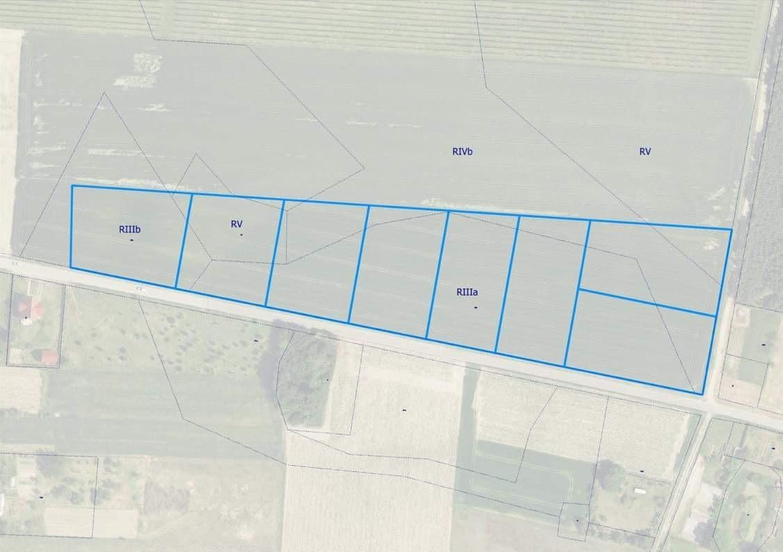 Działka rolno-budowlana Słonów. Zdjęcie 3