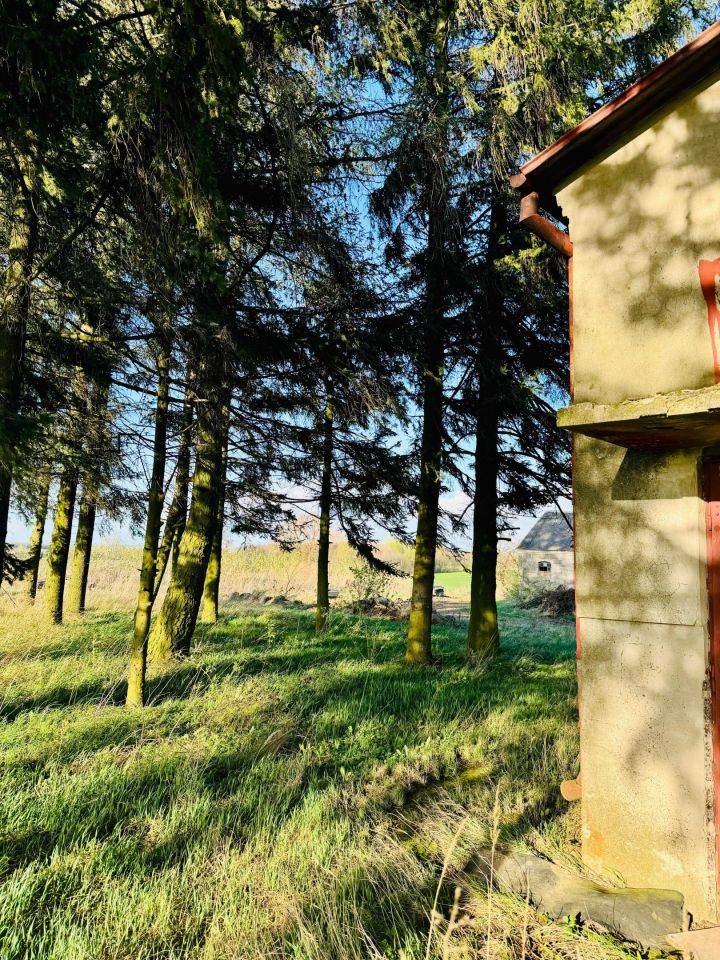 dom wolnostojący Alojzów. Zdjęcie 3