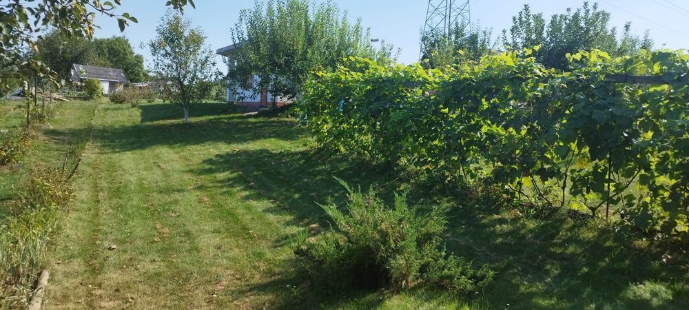 Działka rod Prudnik. Zdjęcie 4