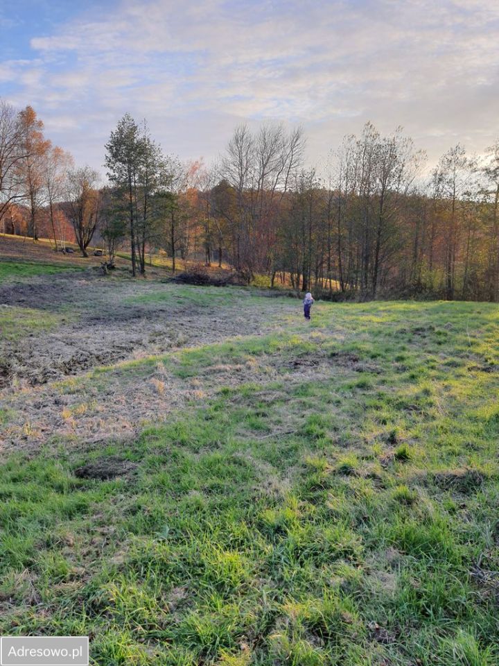 Działka budowlana Wiśniowa. Zdjęcie 6