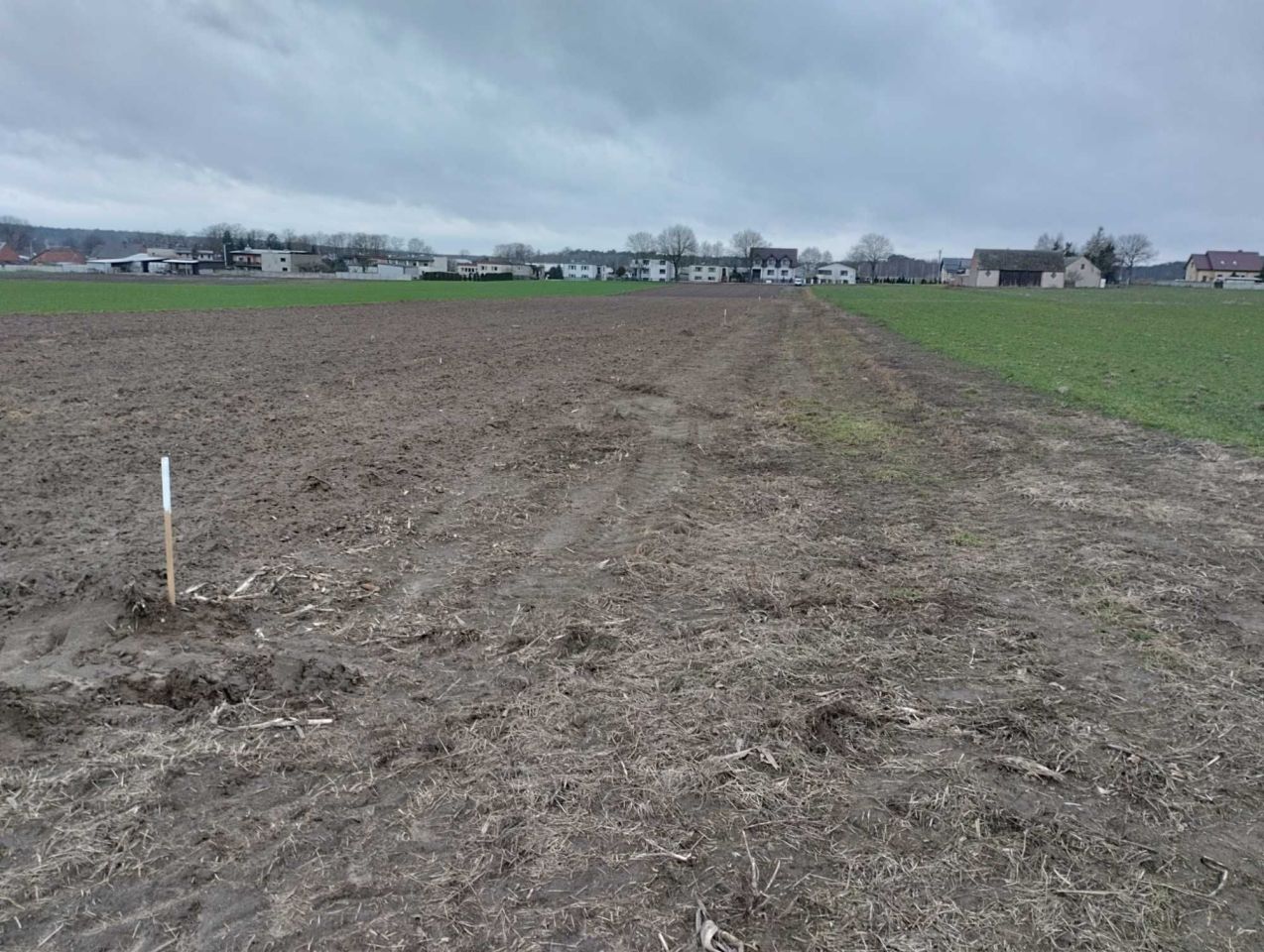 Działka Psary. Zdjęcie 5