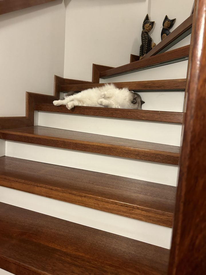 dom wolnostojący, 7 pokoi Międzyzdroje, ul. Zwycięstwa. Zdjęcie 17