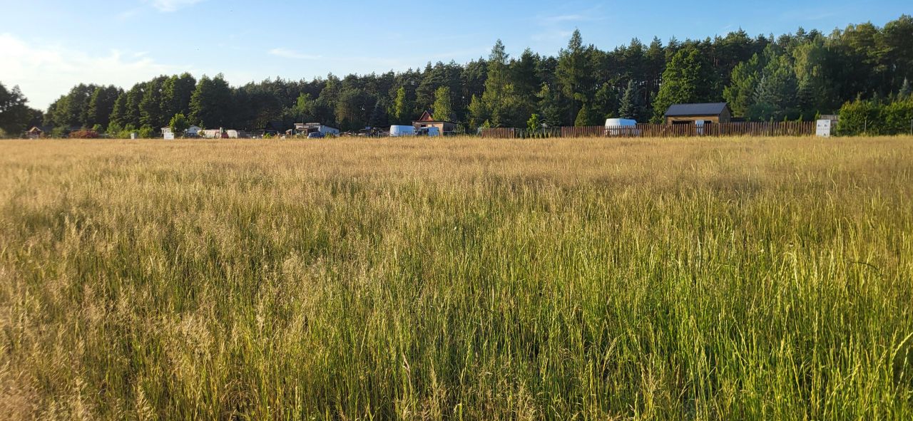 Działka rolno-budowlana Wilków. Zdjęcie 18