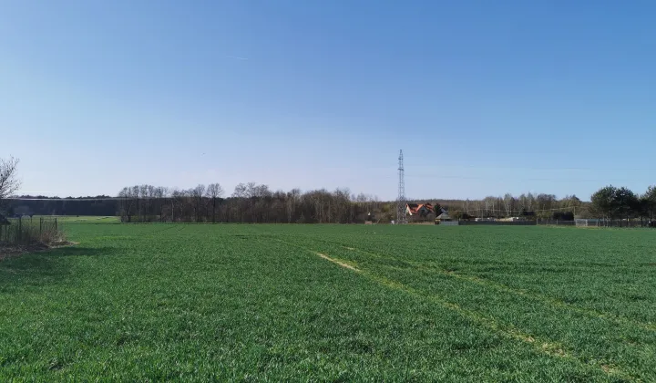 Działka rolno-budowlana Podzamcze kolonia, Podzamcze