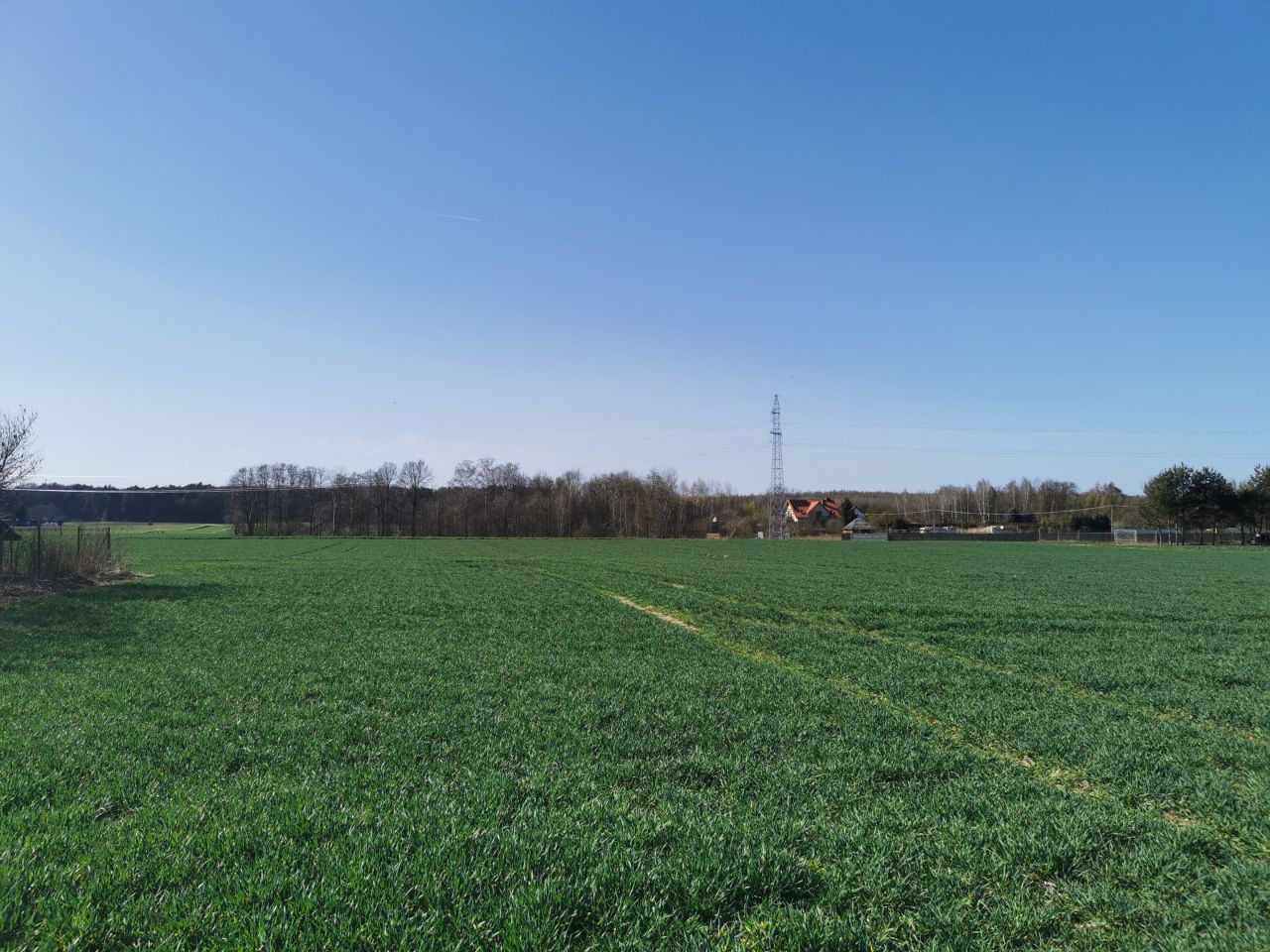 Działka rolno-budowlana Podzamcze kolonia, Podzamcze. Zdjęcie 1