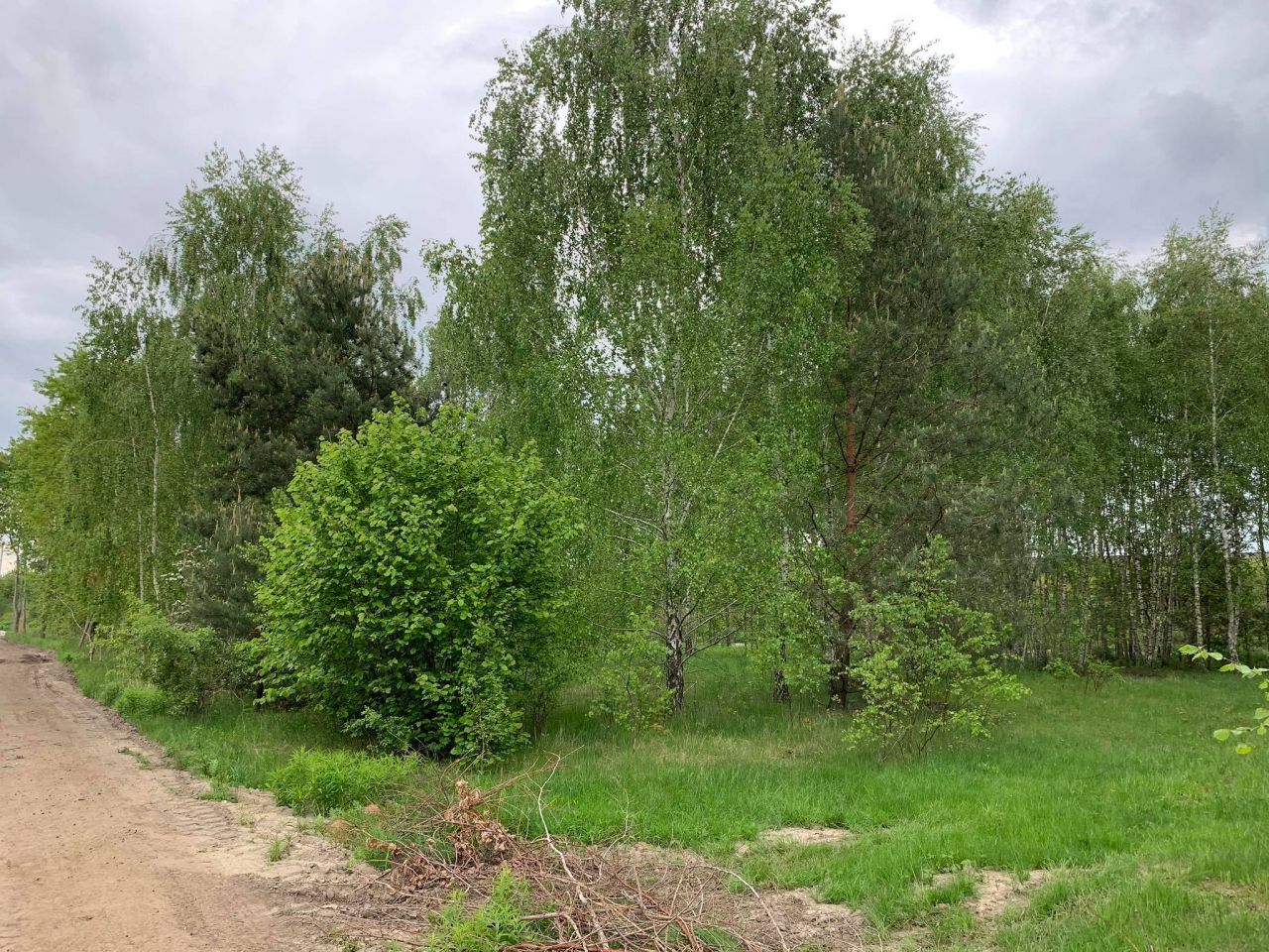 Działka budowlana Jaktorów-Kolonia, ul. Miła. Zdjęcie 3