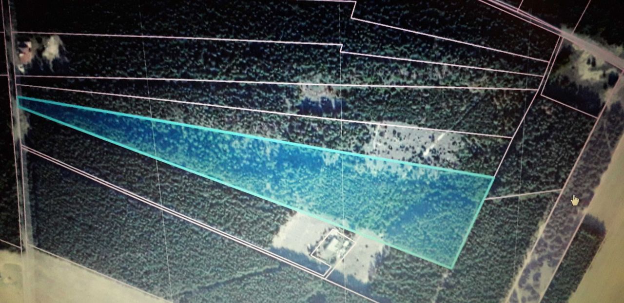 Działka rolna Górki Pierwsze. Zdjęcie 6