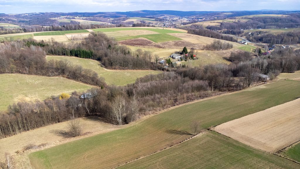 Działka budowlana Brzeziny. Zdjęcie 5