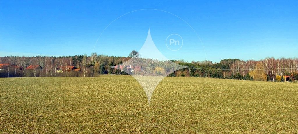 Działka rolna Marcinkowo. Zdjęcie 1