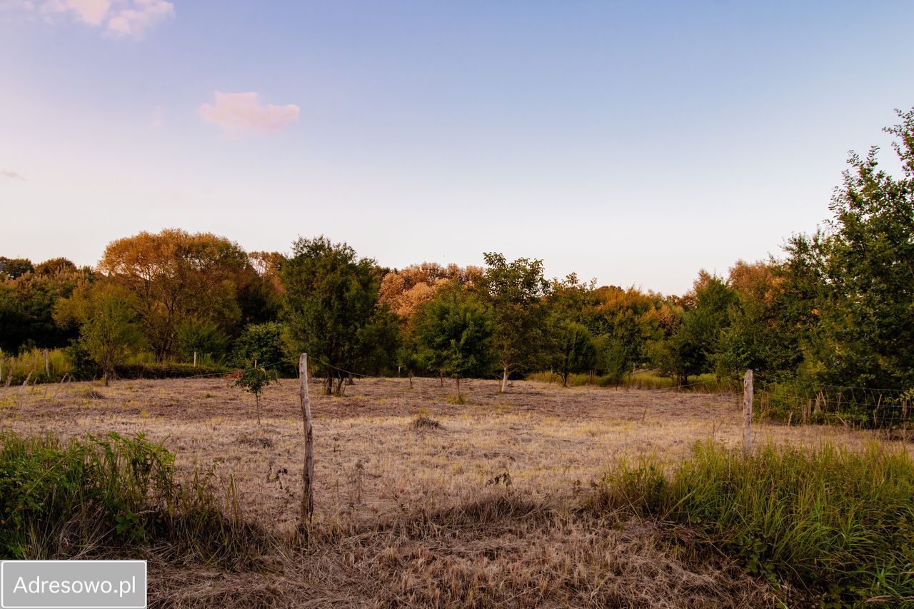 Działka budowlana Bydgoszcz Piaski, ul. ks. Augustyna Szamarzewskiego. Zdjęcie 10