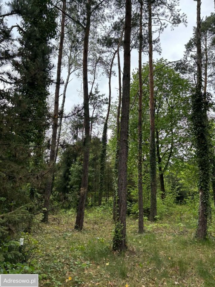 Działka budowlana Stróża, ul. Boczna. Zdjęcie 5