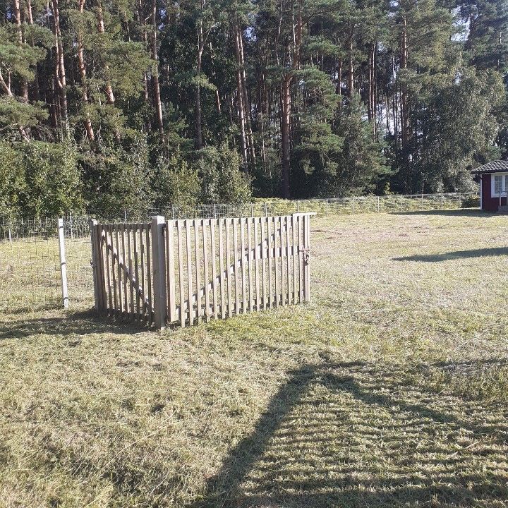 Działka rolno-budowlana Połchowo. Zdjęcie 2