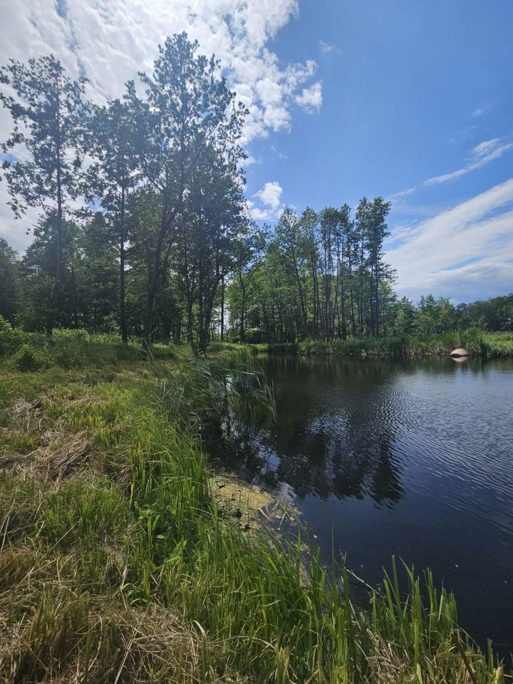 Działka rolno-budowlana Żałe. Zdjęcie 6