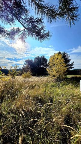 Działka budowlana Szczedrzyk. Zdjęcie 1