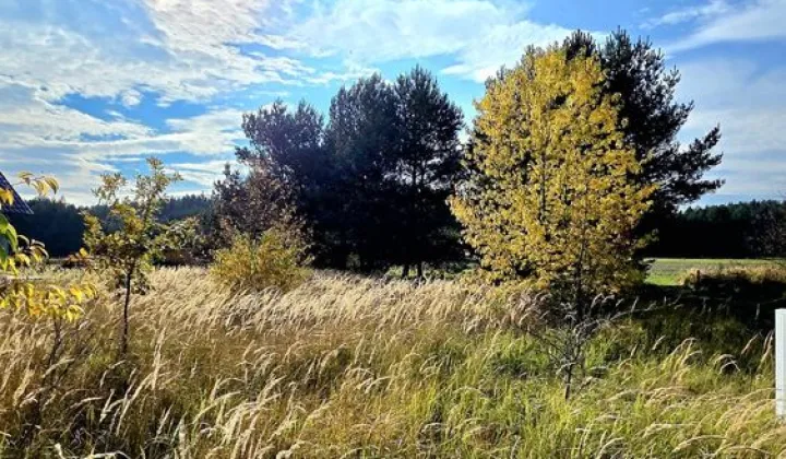 Działka budowlana Szczedrzyk