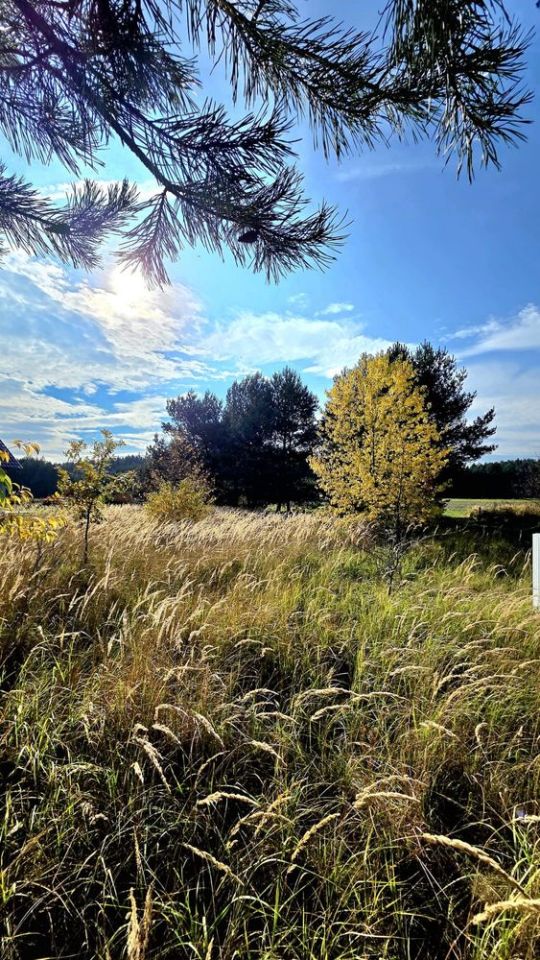 Działka budowlana Szczedrzyk