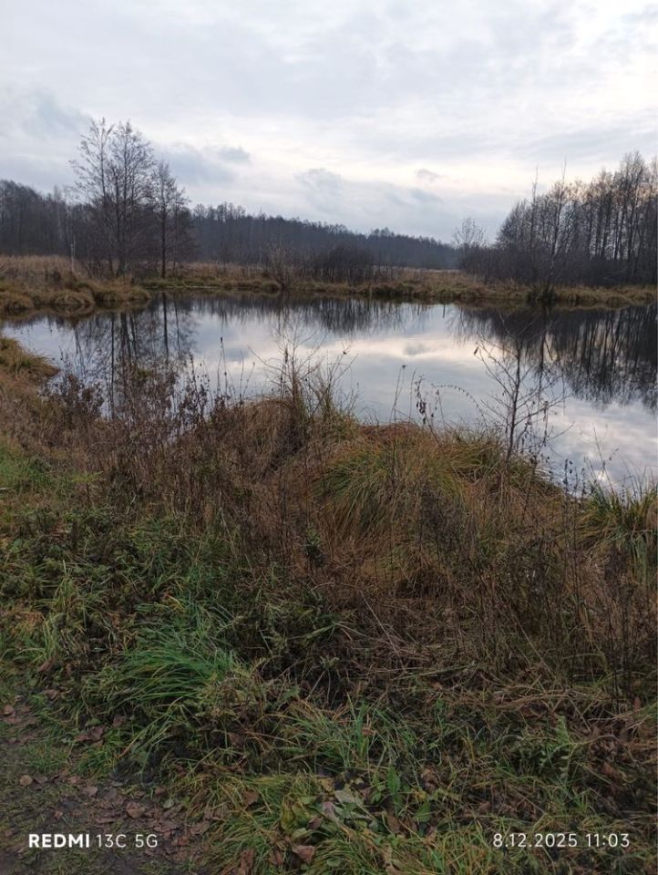 Działka rekreacyjna Okrężnica. Zdjęcie 7