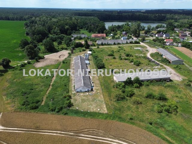 Hala/magazyn Rutwica. Zdjęcie 4